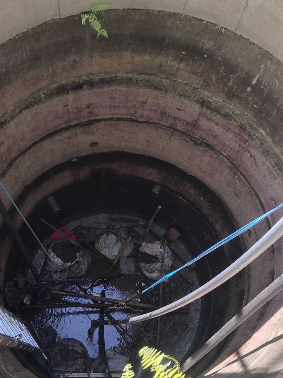 Looking down a deep well lined with concrete rings, ferns at the rim and pipes running down to the bottom
